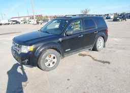 2008 FORD ESCAPE XLT V6