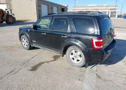 2008 FORD ESCAPE XLT V6