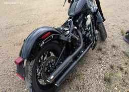 2016 HARLEY-DAVIDSON FLSS SOFTAIL SLIM S