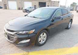 2019 CHEVROLET MALIBU LT