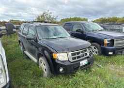2011 FORD ESCAPE XLT
