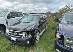 2011 FORD ESCAPE XLT