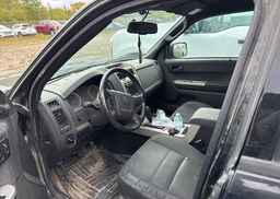 2011 FORD ESCAPE XLT