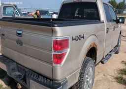 2009 FORD F-150 FX4