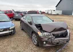 2014 HONDA ACCORD EX-L V6
