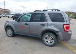 2008 FORD ESCAPE XLT V6