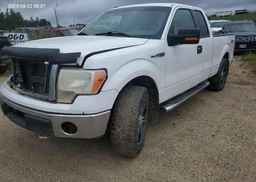 2012 FORD F150 XLT SUPERCAB