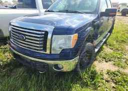 2011 FORD F150 XLT SUPERCREW