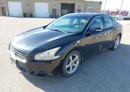 2011 NISSAN MAXIMA 3.5 SV