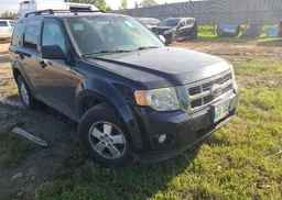 2012 FORD ESCAPE XLT