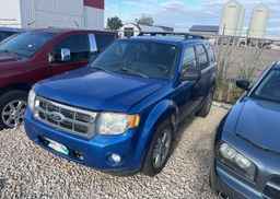 2011 FORD ESCAPE XLT V6