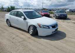 2010 HONDA ACCORD EX-L
