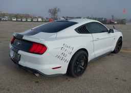 2019 FORD MUSTANG