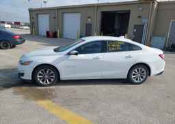 2019 CHEVROLET MALIBU LT