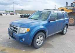 2009 FORD ESCAPE XLT