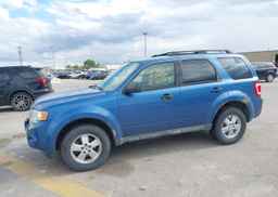 2009 FORD ESCAPE XLT