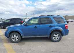2009 FORD ESCAPE XLT