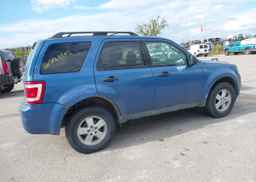 2009 FORD ESCAPE XLT