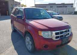 2008 FORD ESCAPE XLT V6
