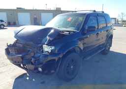 2007 FORD ESCAPE XLT V6