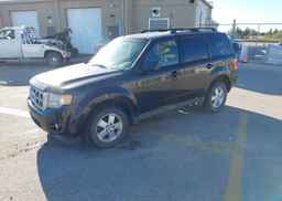 2011 FORD ESCAPE XLT
