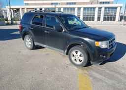 2011 FORD ESCAPE XLT