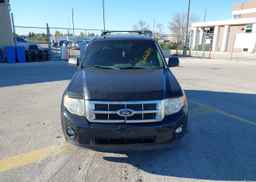 2011 FORD ESCAPE XLT
