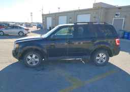 2011 FORD ESCAPE XLT