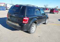 2011 FORD ESCAPE XLT