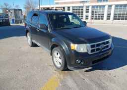 2011 FORD ESCAPE XLT
