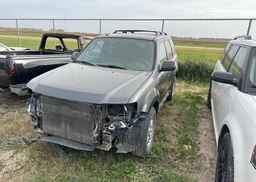2009 FORD ESCAPE XLT