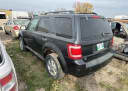 2009 FORD ESCAPE XLT
