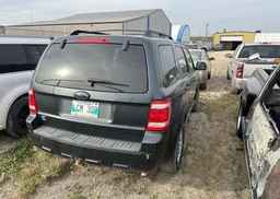 2009 FORD ESCAPE XLT