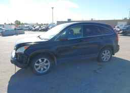 2007 HONDA CR-V EX