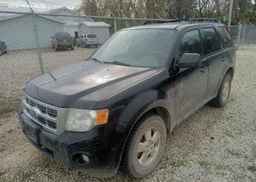 2010 FORD ESCAPE XLT AUTOMATIC
