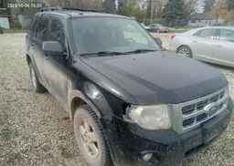 2010 FORD ESCAPE XLT AUTOMATIC