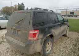2010 FORD ESCAPE XLT AUTOMATIC
