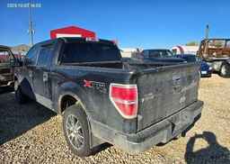 2011 FORD F150 XLT SUPERCREW