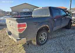 2011 FORD F150 XLT SUPERCREW