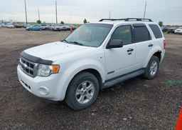 2008 FORD ESCAPE XLT