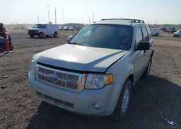 2008 FORD ESCAPE XLT