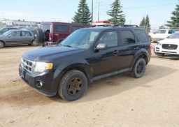2011 FORD ESCAPE XLT