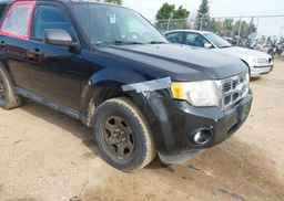 2011 FORD ESCAPE XLT