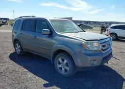 2009 HONDA PILOT EX