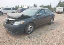 2010 TOYOTA CAMRY HYBRID