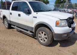2006 FORD F150 SUPERCREW