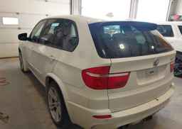 2010 BMW X5 M