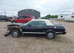 1977 FORD MUSTANG