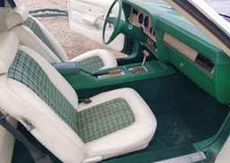 1977 FORD MUSTANG