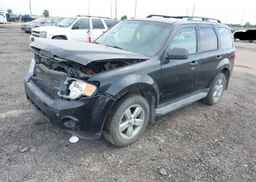 2009 FORD ESCAPE XLT
